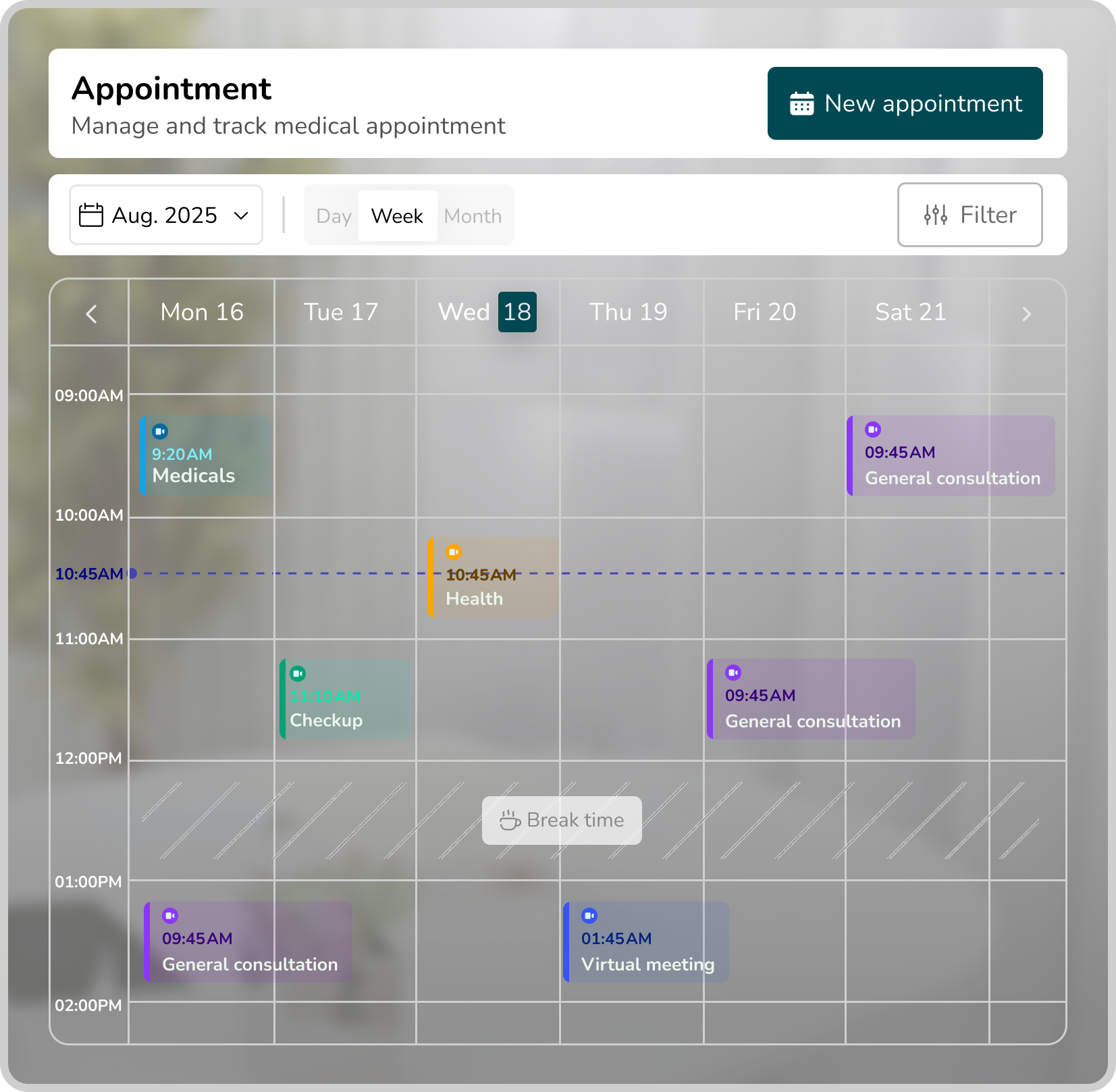 Appointment calendar interface
